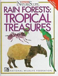 bokomslag Rain Forests