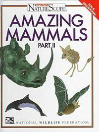 bokomslag Amazing Mammals v. 2