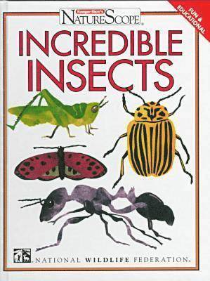 bokomslag Incredible Insects