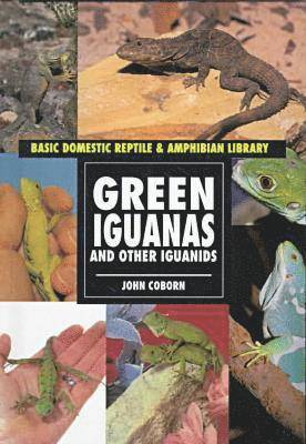 bokomslag Green Iguanas and Other Iguanids