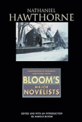bokomslag Nathaniel Hawthorne