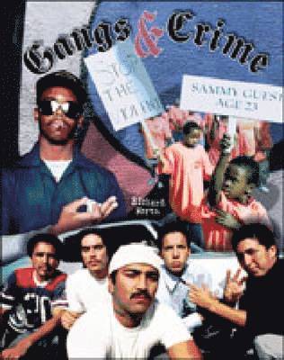 bokomslag Gangs and Crime