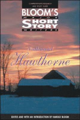 bokomslag Nathaniel Hawthorne