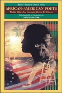 bokomslag African-American Poets v. I