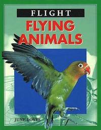 bokomslag Flying Animals