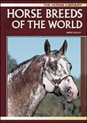 bokomslag Horse Breeds of the World
