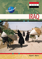bokomslag Iraq