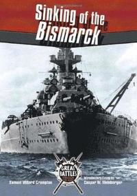 bokomslag Sinking of the Bismarck