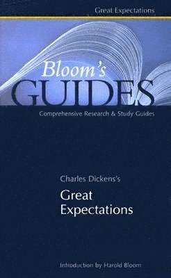 bokomslag Great Expectations