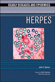 bokomslag Herpes