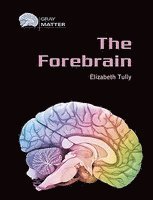 bokomslag Forebrain