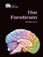 The Forebrain 1