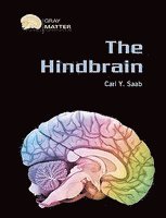 bokomslag Hindbrain