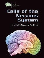 bokomslag Cells of the Nervous System