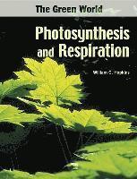 bokomslag Photosynthesis and Respiration