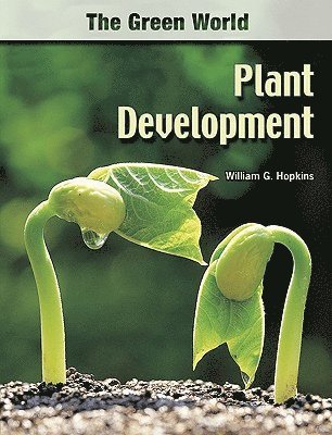 Plant Development 1