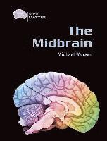 bokomslag The Midbrain