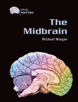 bokomslag Midbrain