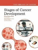 bokomslag Stages of Cancer Development