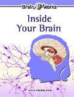 bokomslag Inside Your Brain