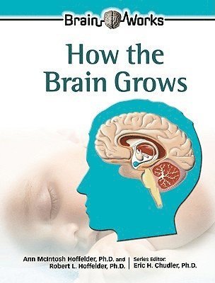 bokomslag How the Brain Grows