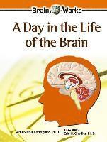 bokomslag A Day in the Life of the Brain