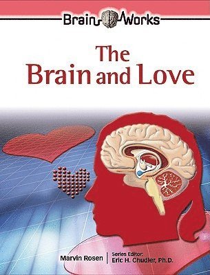 bokomslag Brain and Love