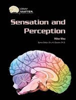 bokomslag Sensation and Perception