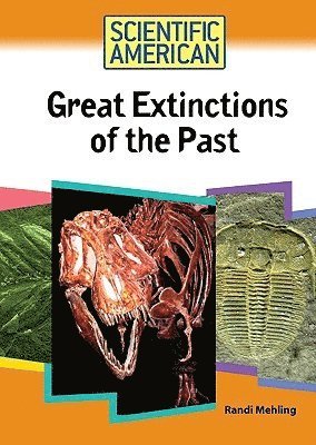 bokomslag Great Extinctions of the Past