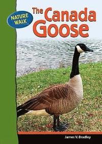 bokomslag Canada Goose