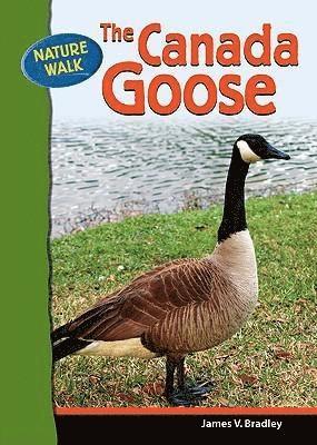 bokomslag Canada Goose