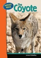 bokomslag Coyote