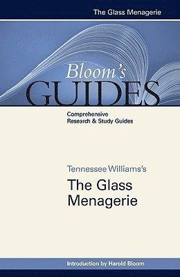 bokomslag Glass Menagerie