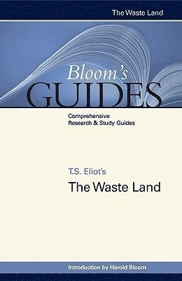 bokomslag Waste Land