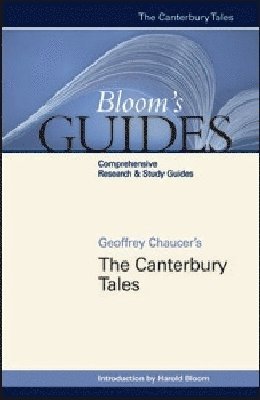 bokomslag Canterbury Tales