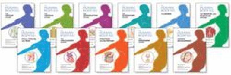 Human Body: How It Works Set, 11-Volumes