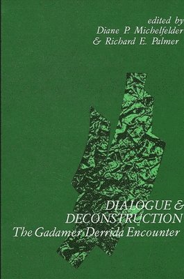 Diane P. Michelfelder, Richard E. Palmer - Dialogue and Deconstruction, Häftad