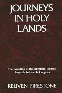 bokomslag Journeys in Holy Lands