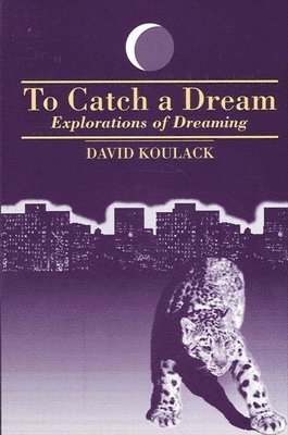 David Koulack - To Catch A Dream, Häftad