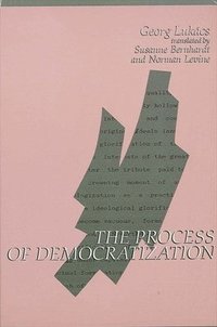 bokomslag The Process of Democratization