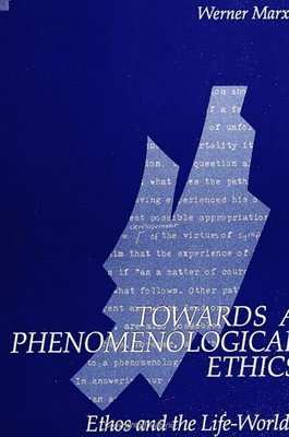 Harold Berlak, Fred M. Newmann, Elizabeth Adams, Doug A. Archbald, Tyrell Burgess, John Raven, Thomas A. Romberg - Toward a New Science of Educational Testing and Assessment, Häftad