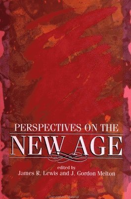 bokomslag Perspectives on the New Age