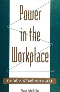 bokomslag Power in the Workplace