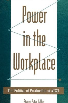 Steven Peter Vallas - Power in the Workplace, Häftad