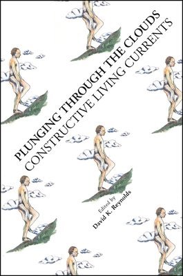 David K. Reynolds - Plunging Through the Clouds, Häftad