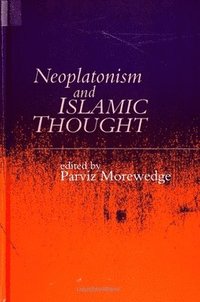 bokomslag Neoplatonism and Islamic Thought