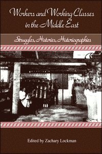 bokomslag Workers and Working Classes in the Middle East: Struggles, Histories, Historiographies