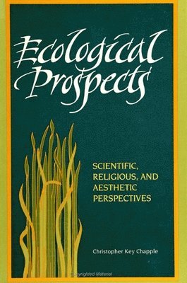 bokomslag Ecological Prospects : Scientific, Religious, and Aesthetic Perspectives