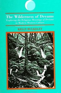 bokomslag The Wilderness of Dreams