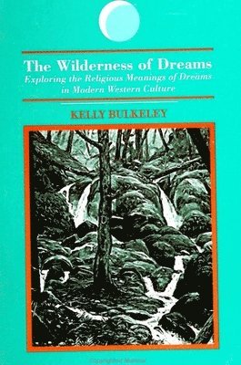 Kelly Bulkeley - Wilderness of Dreams, Häftad